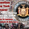 Live Video: No Fault Public Hearing NYC 10AM to 3PM